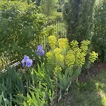 Domaine De La Durantie - Avec De Nage