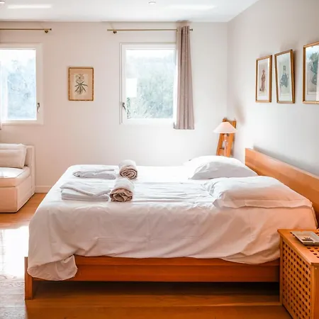 Domaine De La Durantie - Avec De Nage Castelnau-de-Montmiral