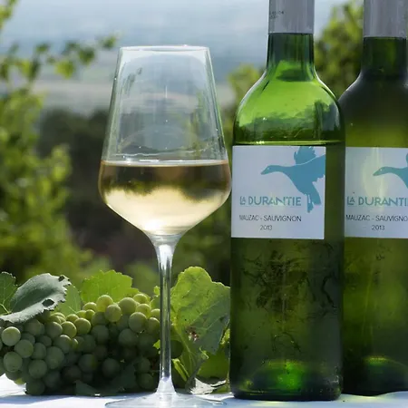 Domaine De La Durantie - Avec De Nage * Castelnau-de-Montmiral