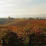 Domaine De La Durantie - Avec De Nage * Castelnau-de-Montmiral