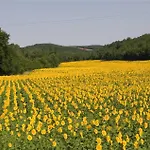 Domaine De La Durantie - Avec De Nage Castelnau-de-Montmiral