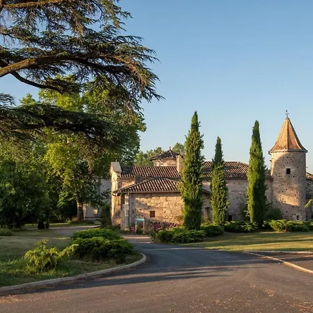 Domaine De La Durantie - Avec De Nage Castelnau-de-Montmiral