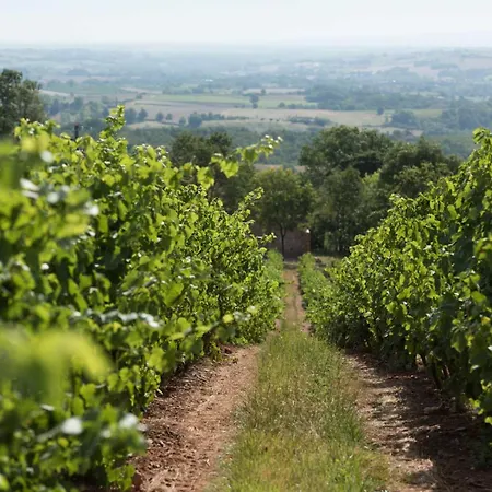 Domaine De La Durantie - Avec De Nage Villa *