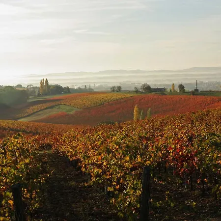 Domaine De La Durantie - Avec De Nage * Castelnau-de-Montmiral