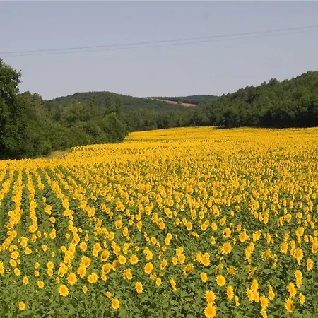 Domaine De La Durantie - Avec De Nage Castelnau-de-Montmiral