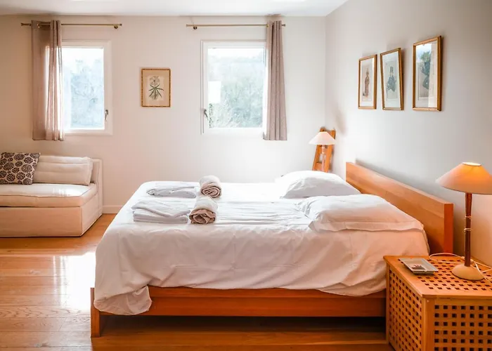 Domaine De La Durantie - Avec De Nage Castelnau-de-Montmiral