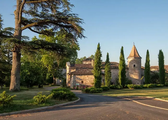 Domaine De La Durantie - Avec De Nage Castelnau-de-Montmiral